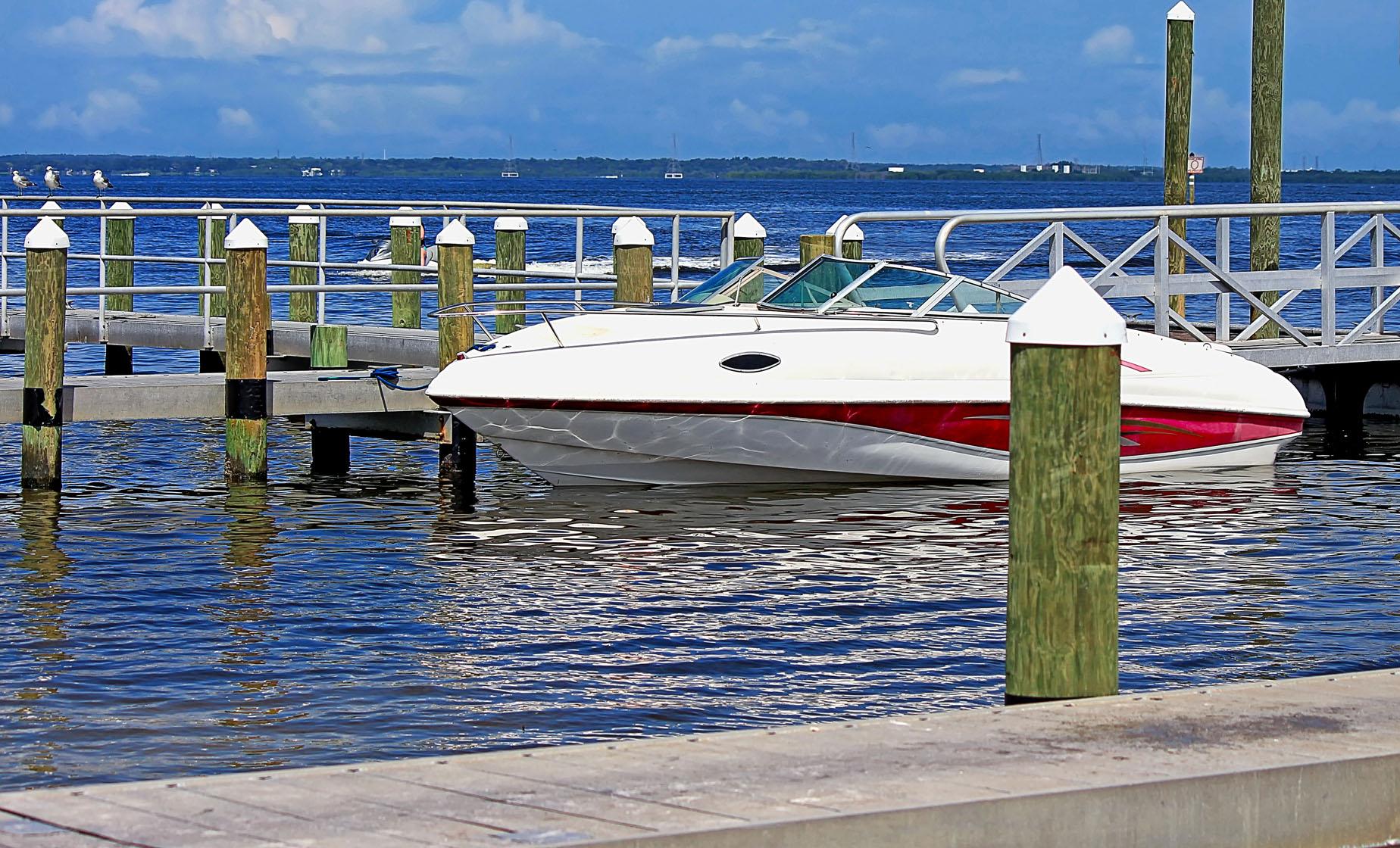 Private Speedboat Adventure Tour in Tampa (Fort De Soto Park, Sunshine Skyway Bridge)