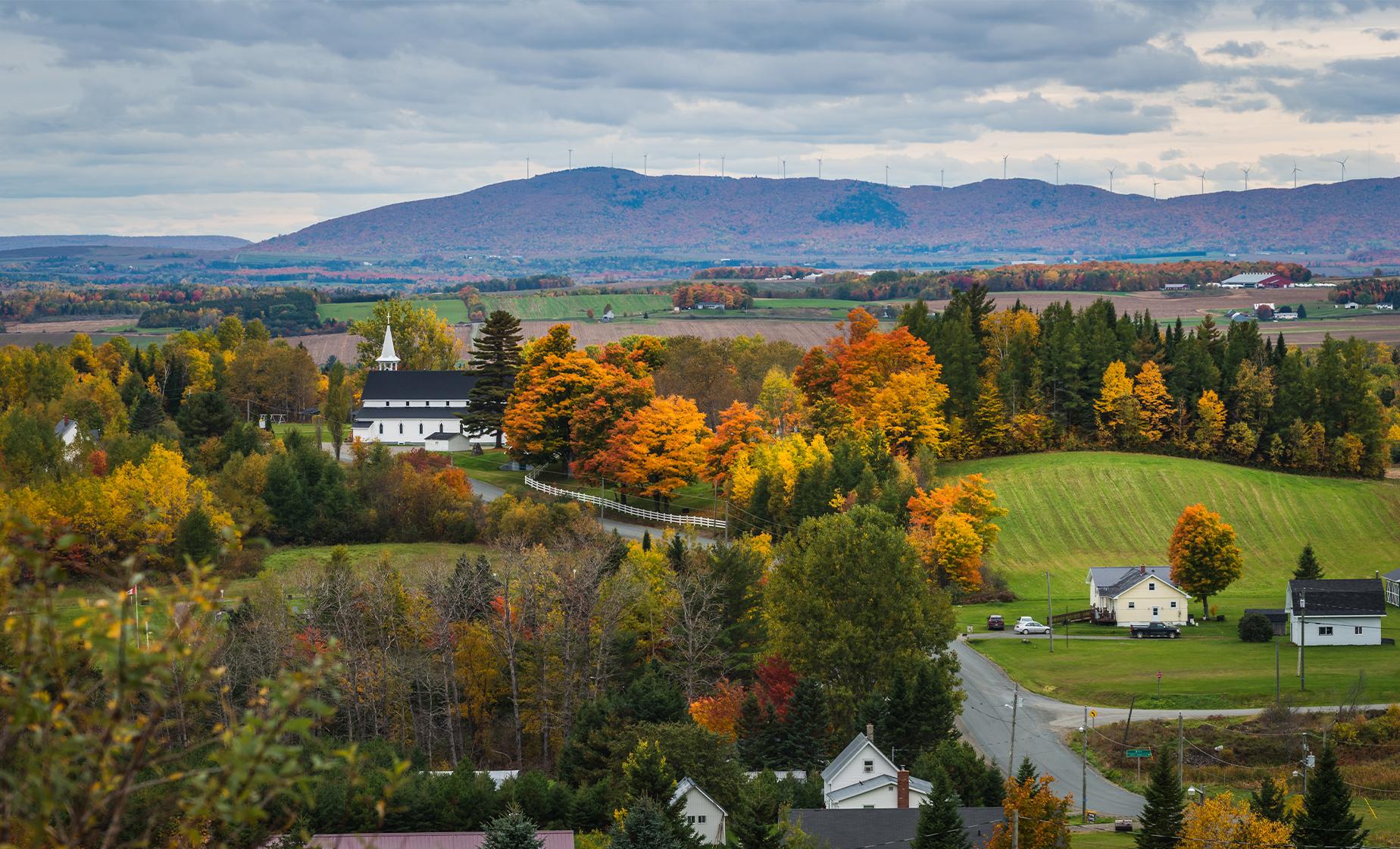 Back Roads and Wine Tour in Saint John (Dunham's Run Estate Winery, Kingston Peninsula)