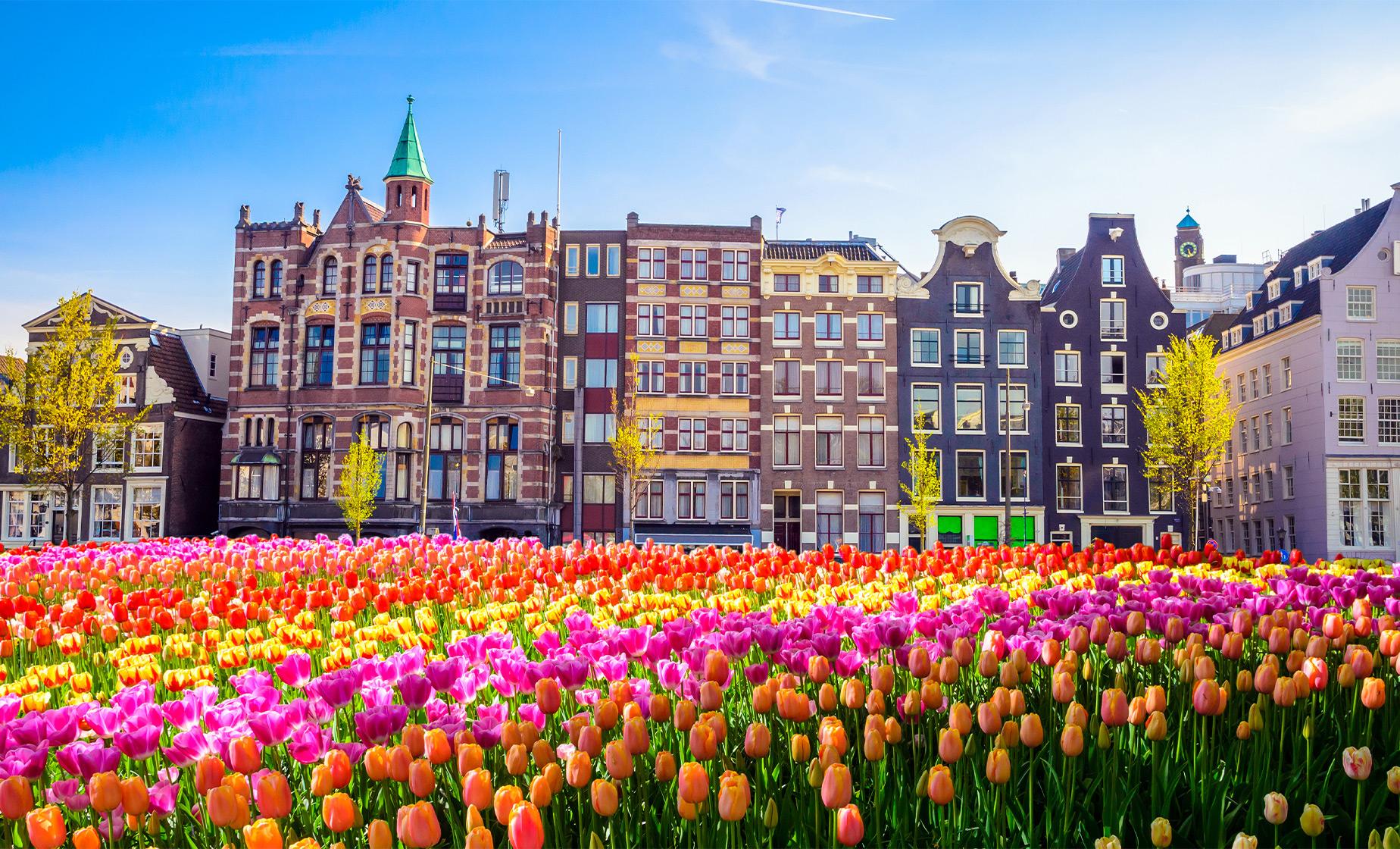 City Sightseeing Hop On and Hop Off Bus and Boat Tour in Amsterdam (Royal Palace)
