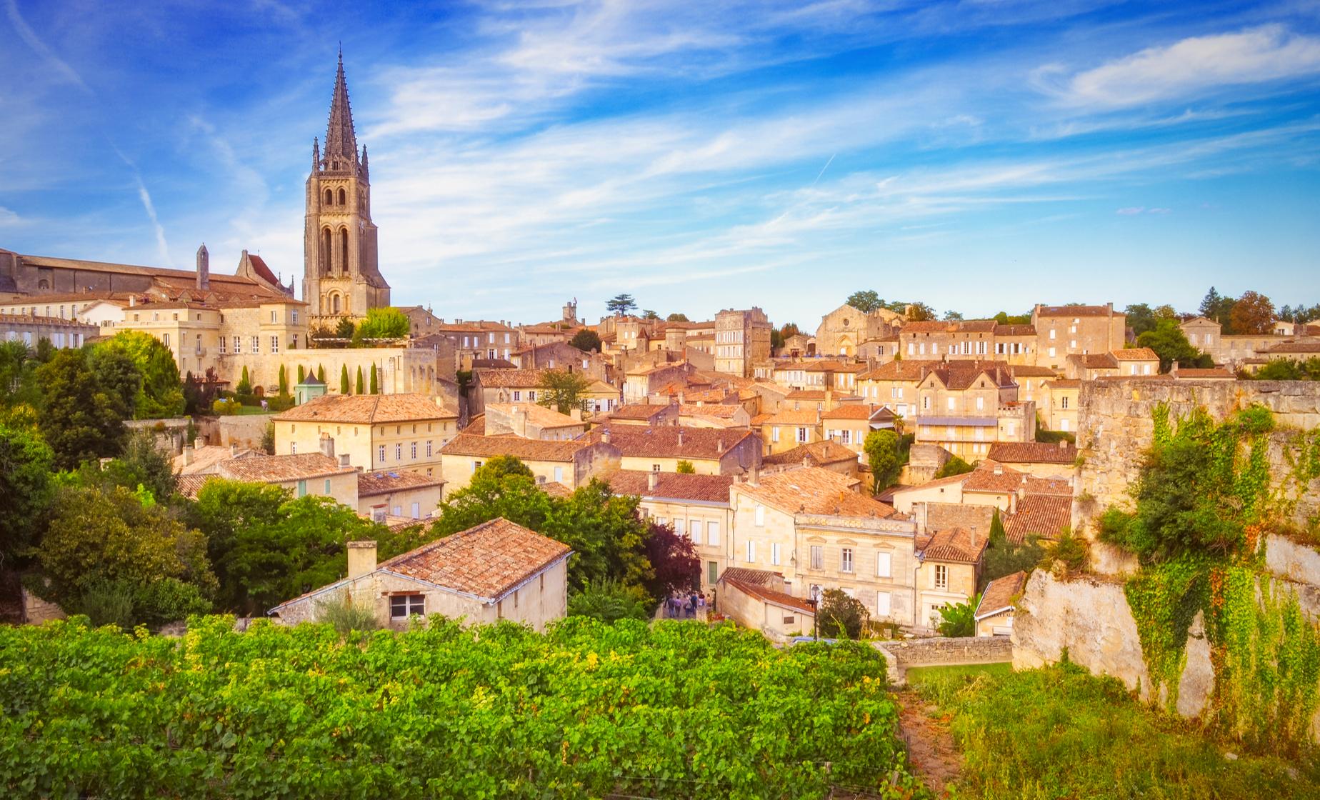 Private Half Day Bordeaux