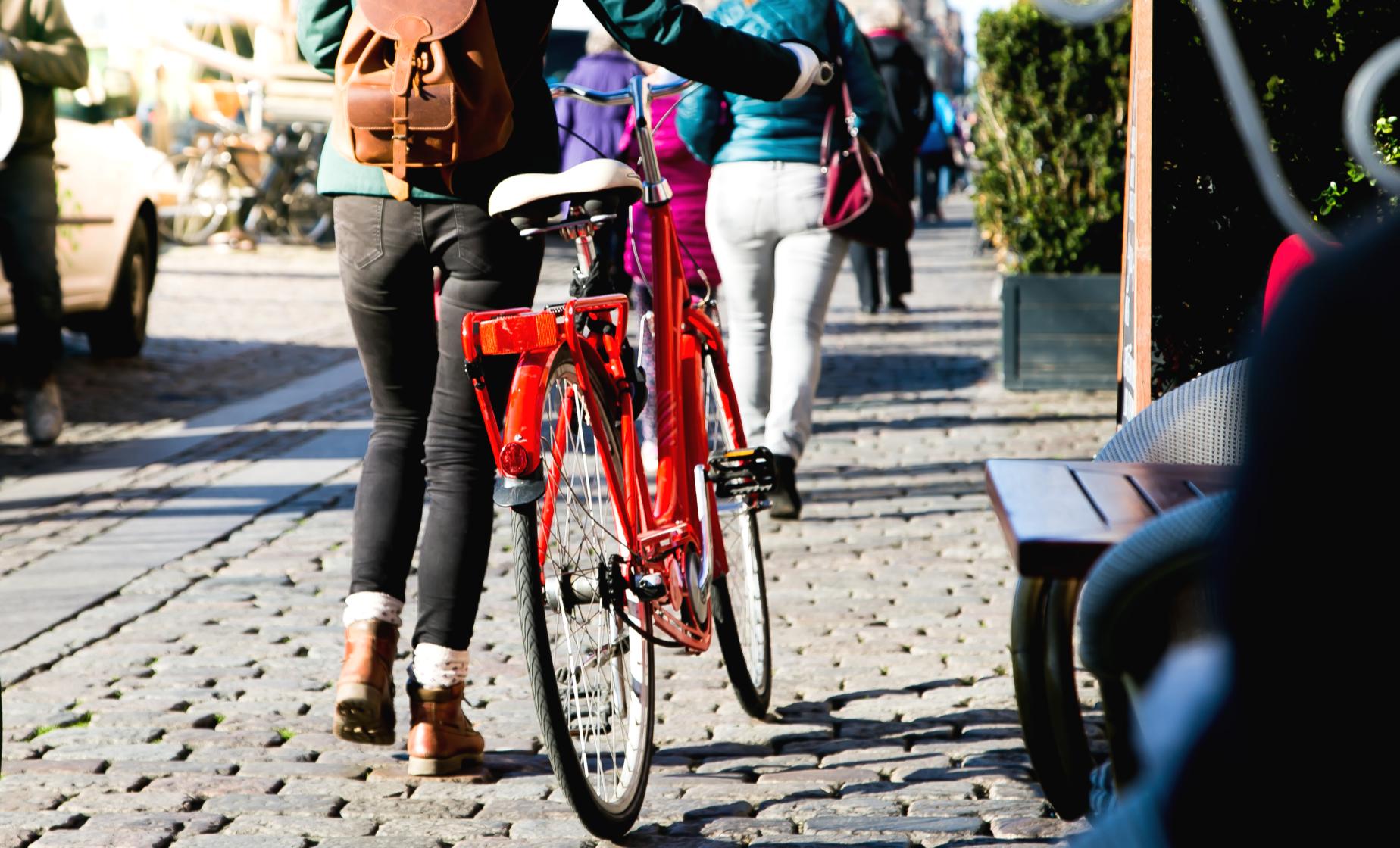 Comprehensive Copenhagen Tour by Bike