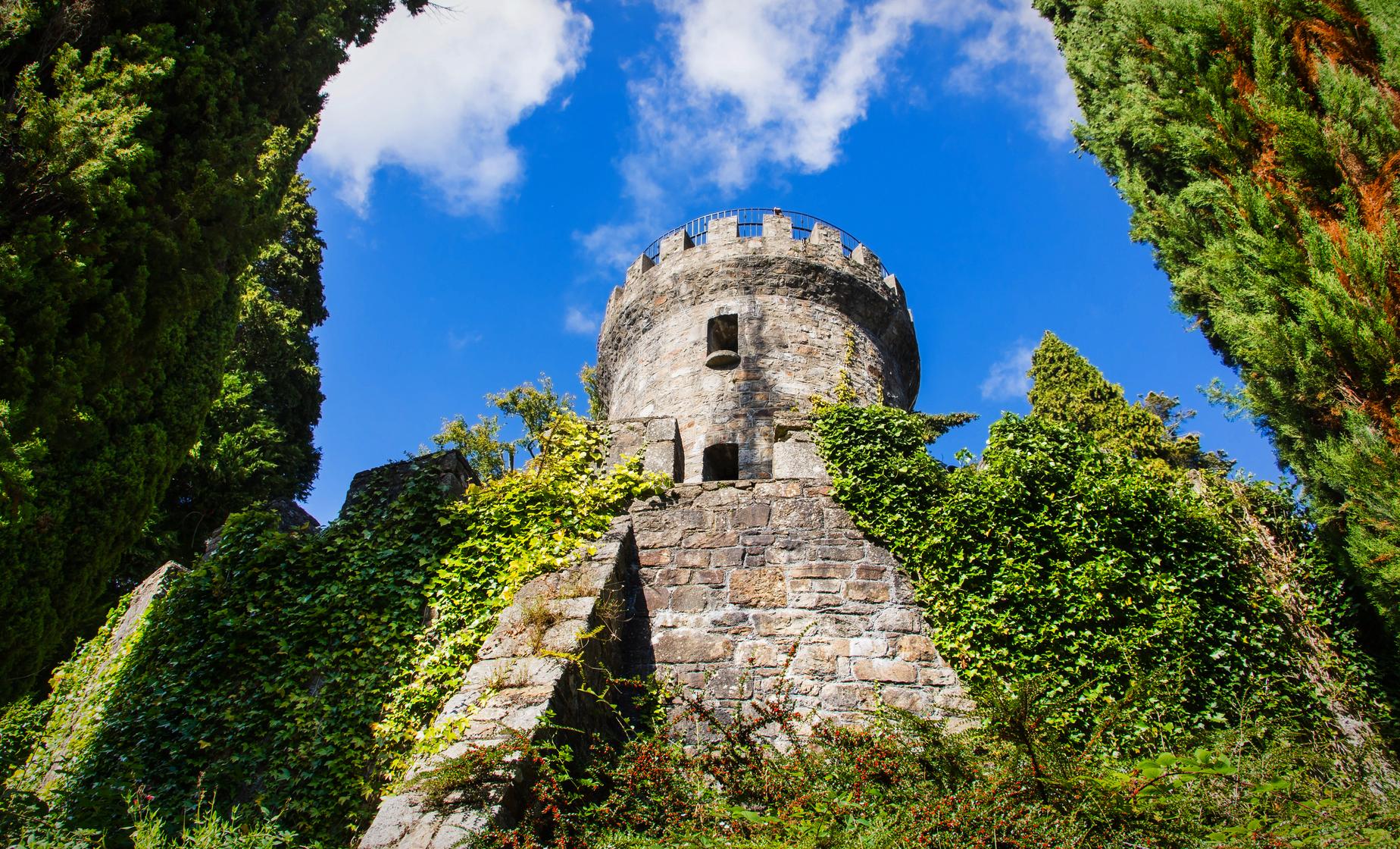 South Coast & Powerscourt Gardens