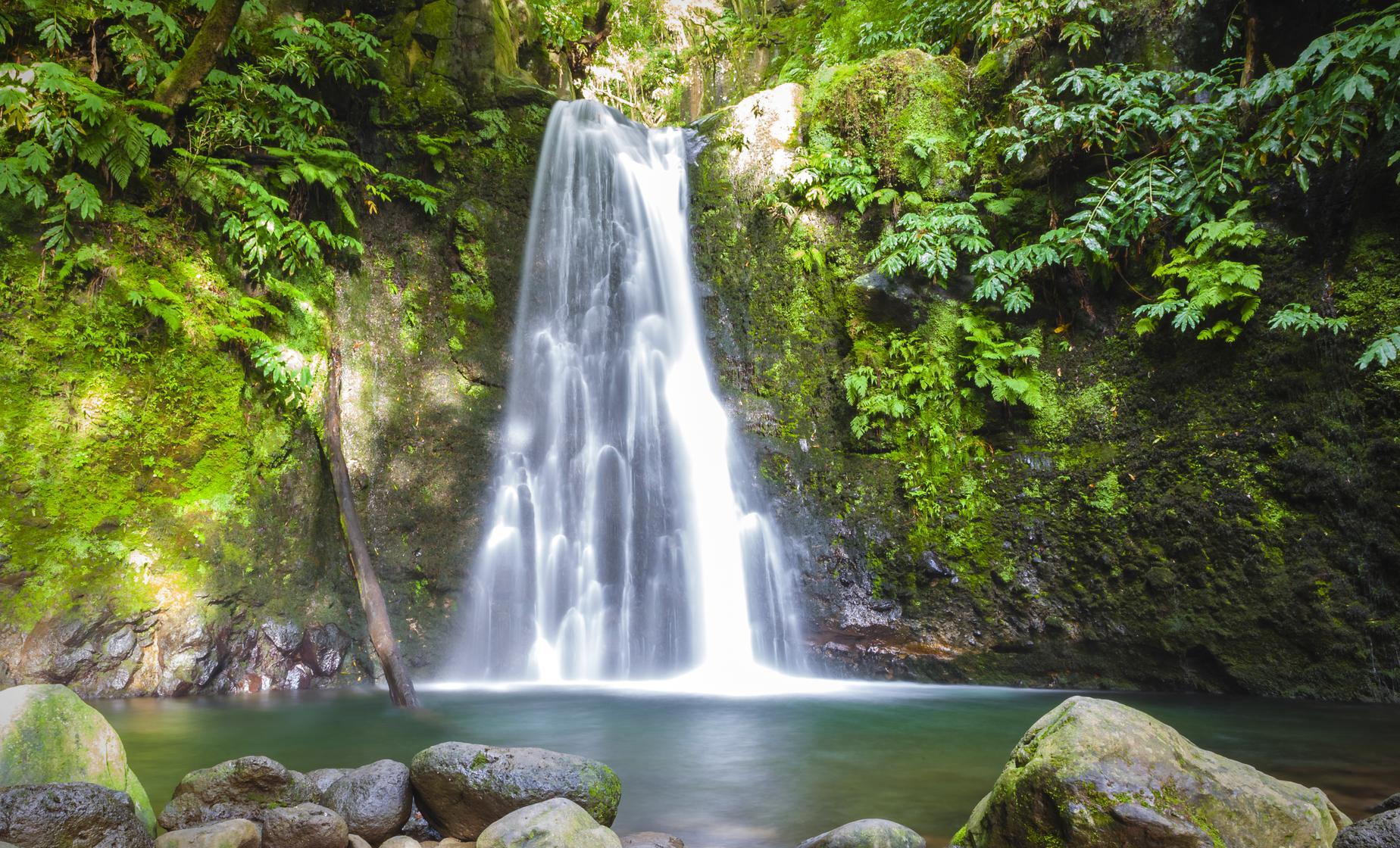 Sanguinho Nature Hike / Waterfall