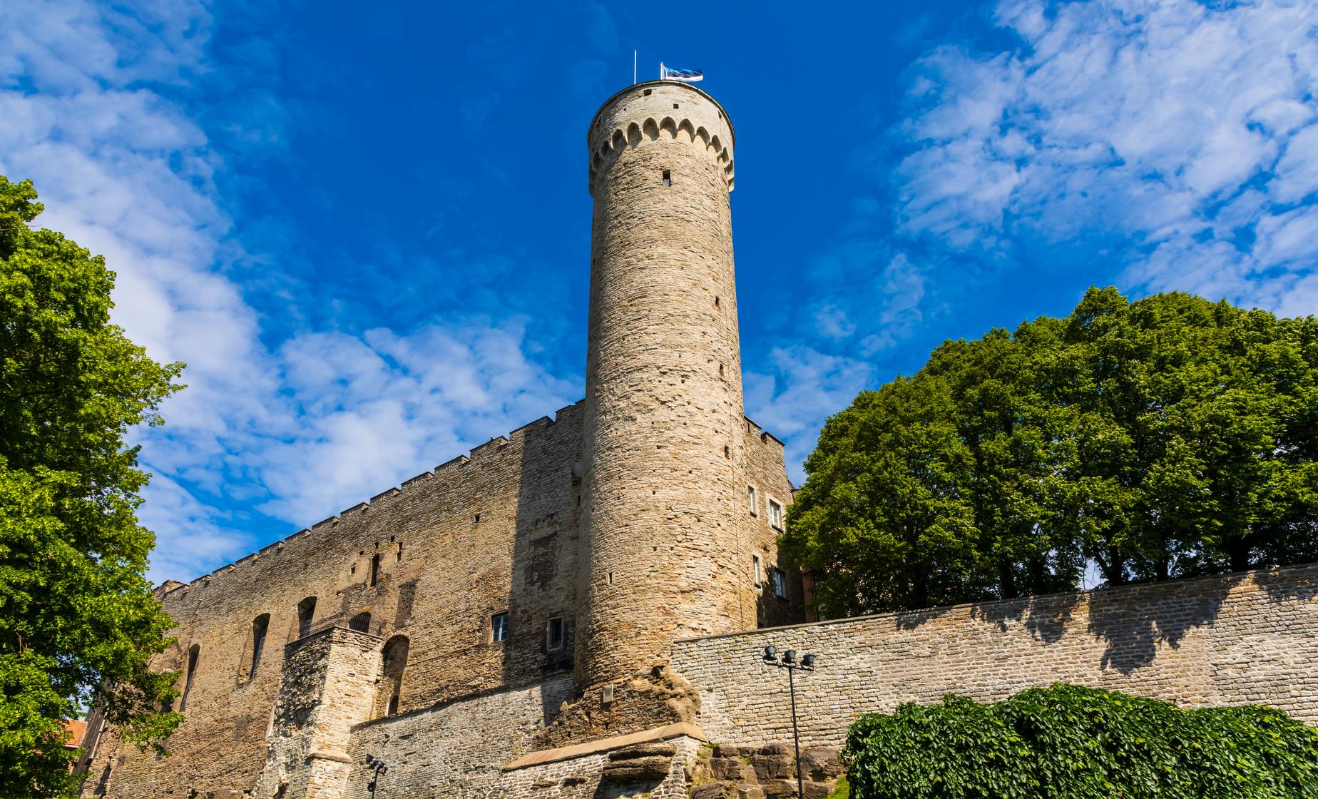 Private Old Town Walking Tour in Tallinn (Dome Hill, Toompea Castle)