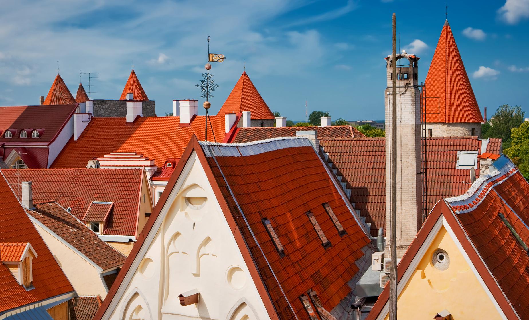 Old and New Tallinn Highlights