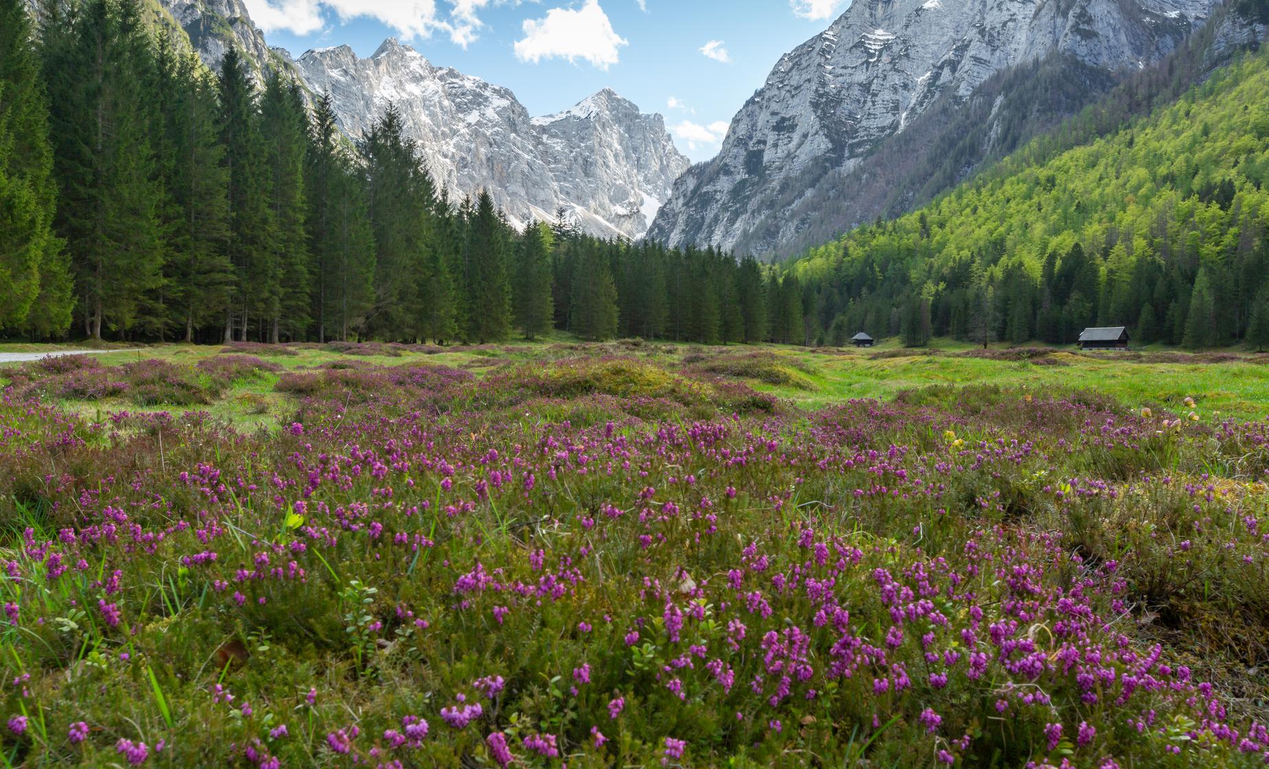 Hiking in Dragonja Valley