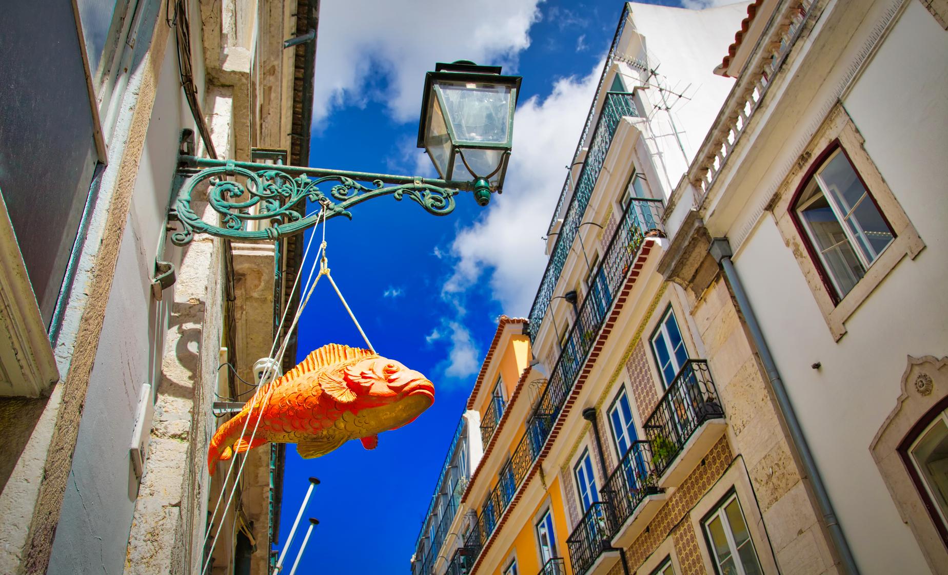 Historic and Trendy Lisbon Walk Lisbon Shore Excursion Europe