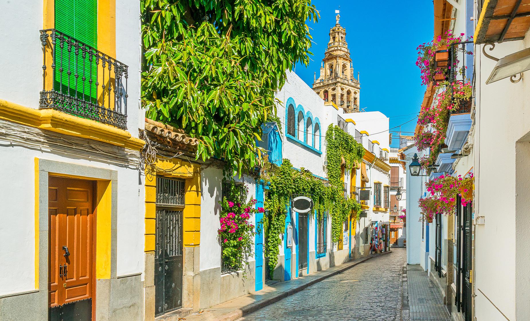 Cordoba Full Day Tour from Malaga