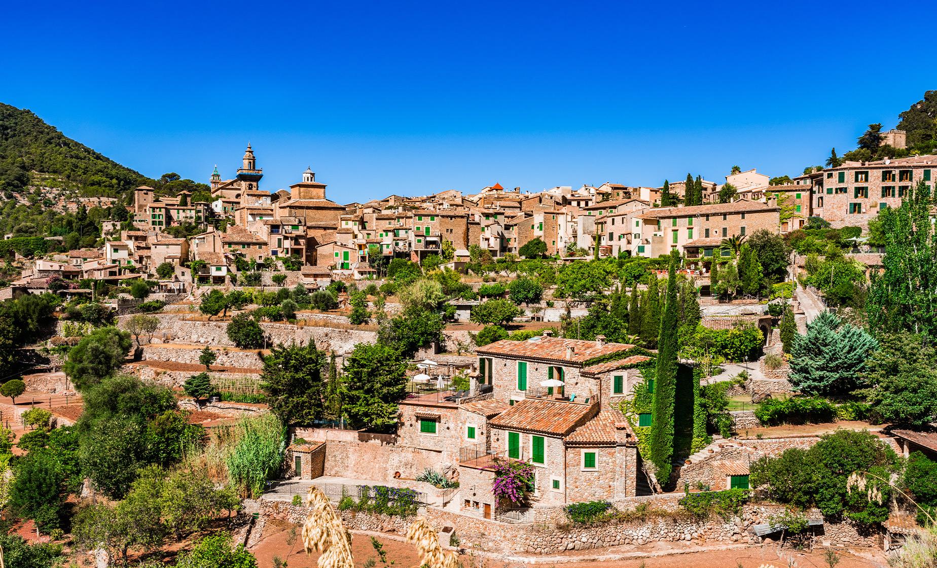 Private Soller and Valldemosa Tour from Palma De Mallorca (Sierra Tramuntana)