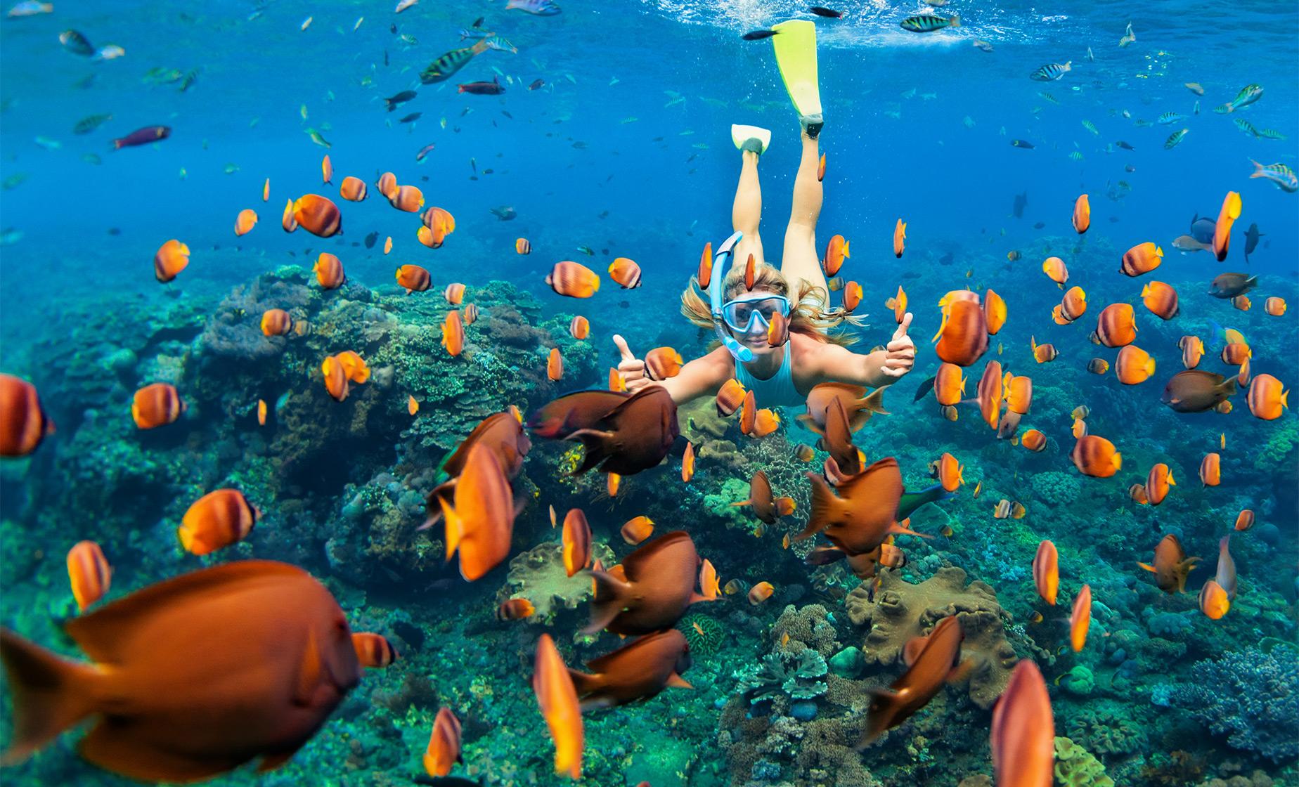 Ras Mohammed Snorkeling Tour