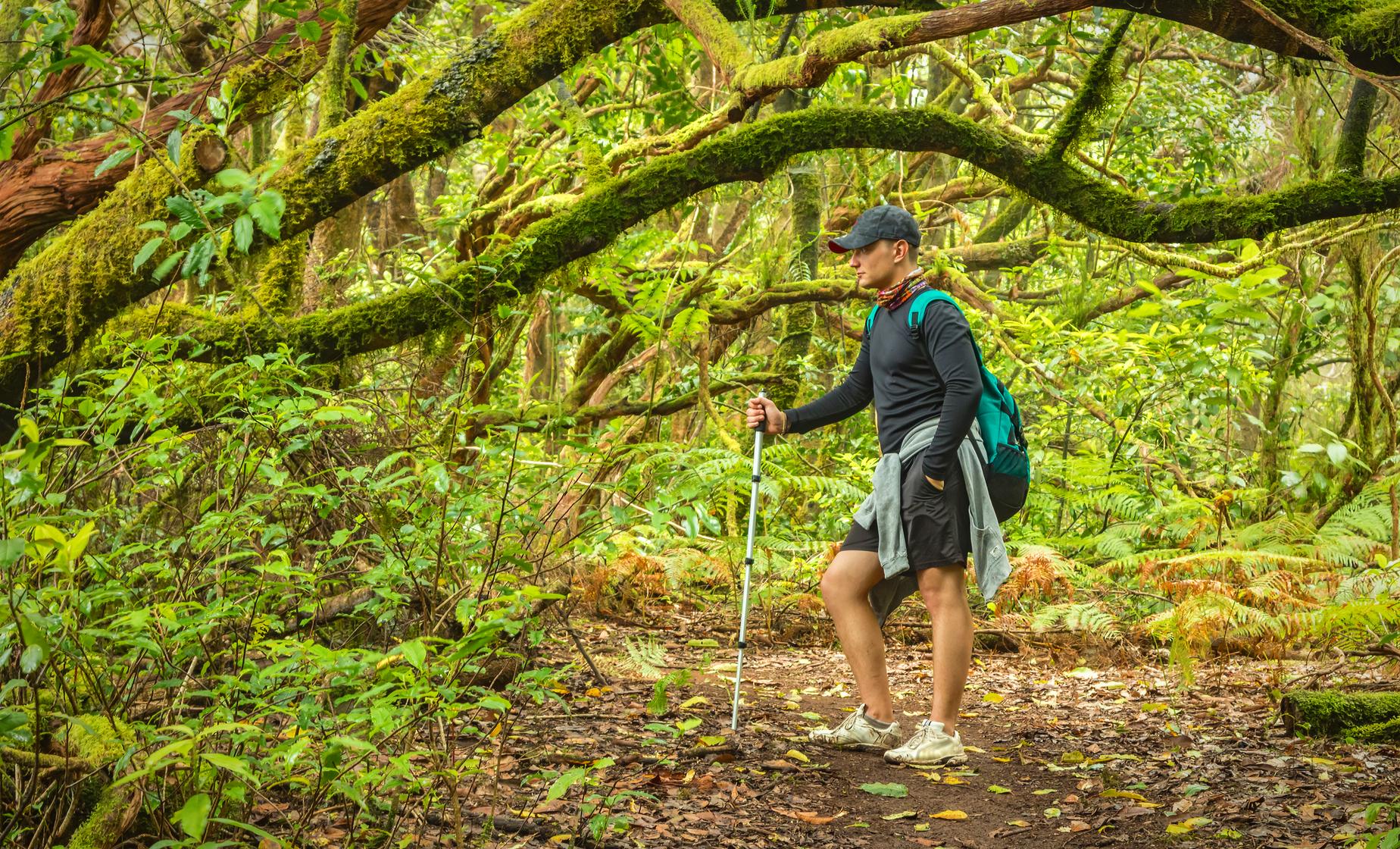 Hiking Montes de Anaga