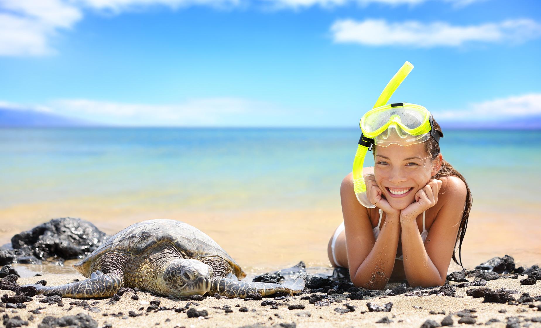 Beach Snorkel at Black Sand Lagoon with Turtles