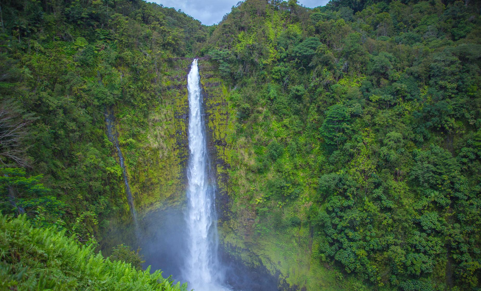 Hawaii Zip Line Tour in Hilo (Hamakua Coast, KoleKole Falls)