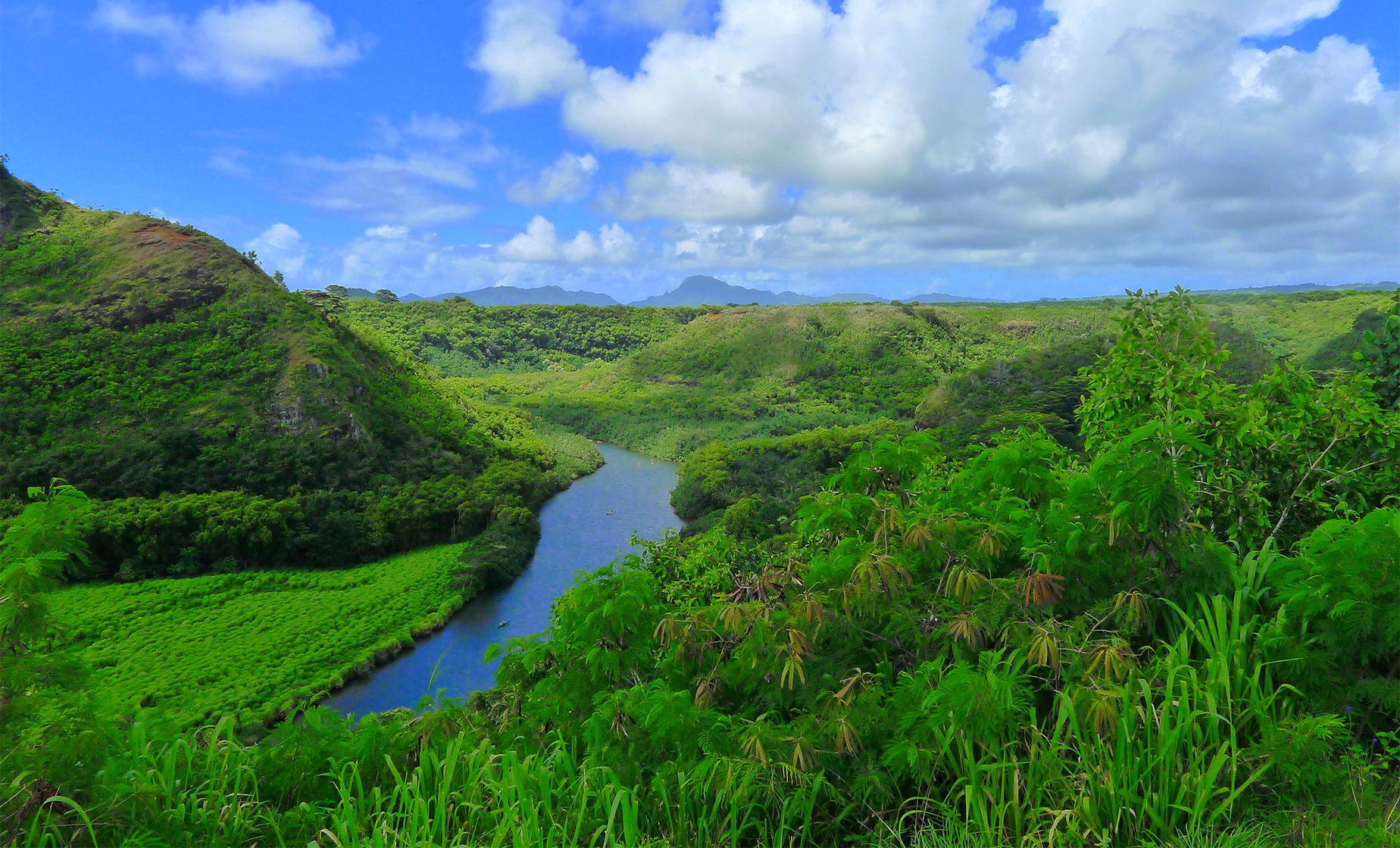 Wailua River Cruise and Fern Grotto Tour in Kauai (Wai'ale'ale Crater, Opaekaa Falls)