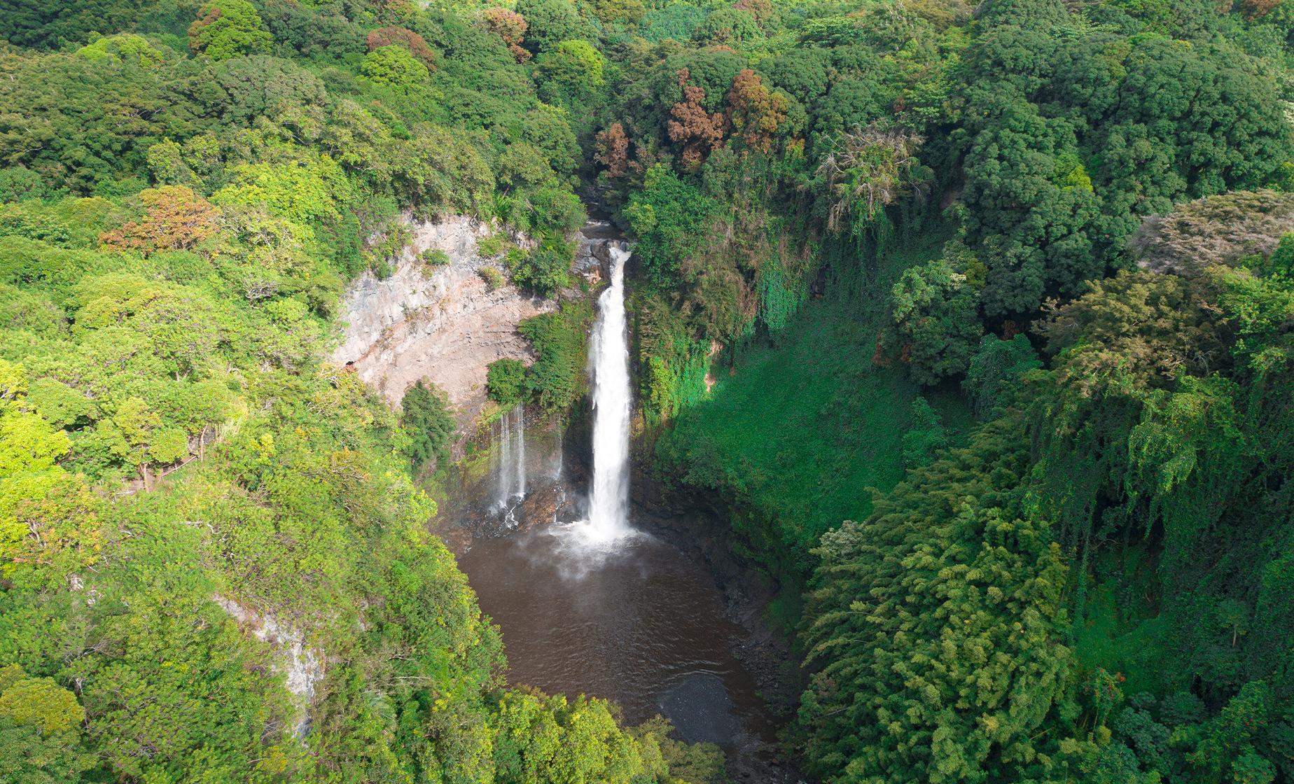 Waterfall and Rainforest Hike Tour in Kahului (Hana)