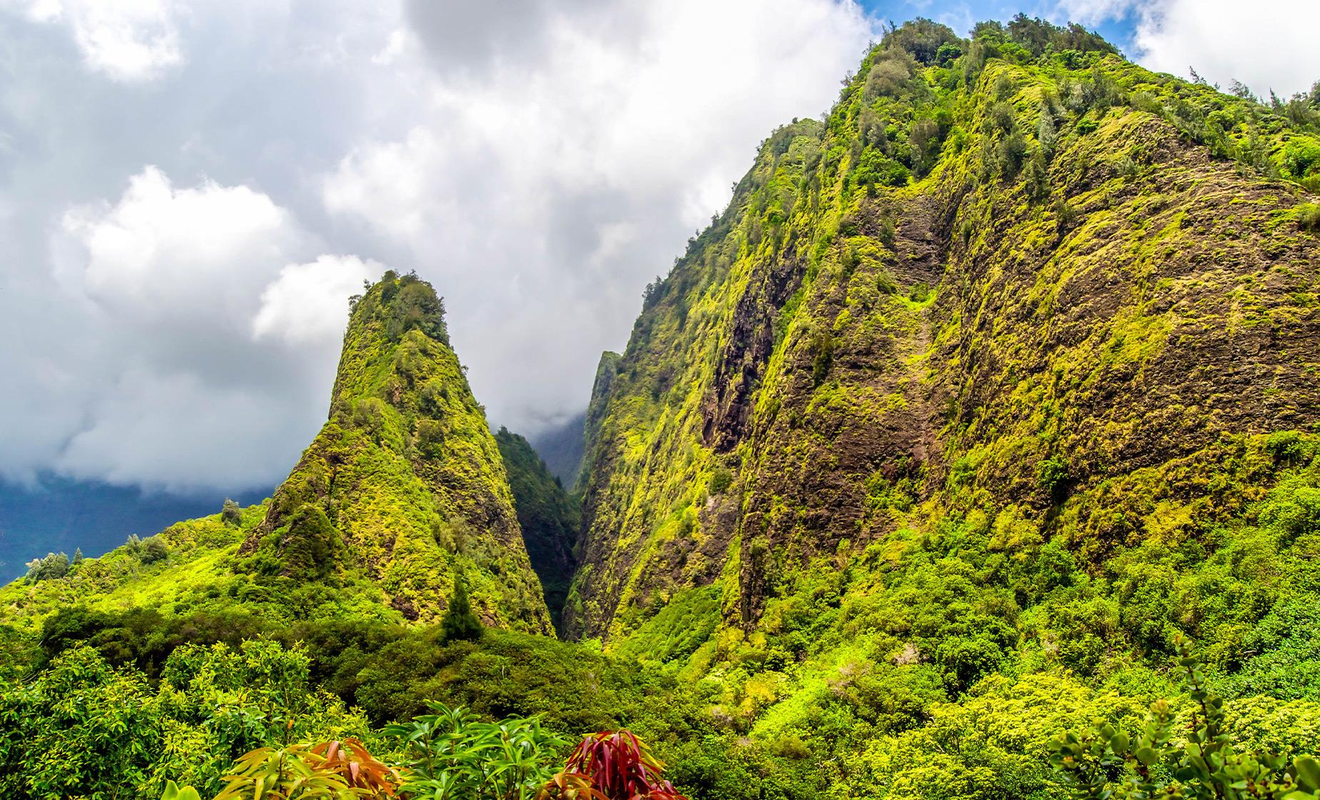Iao Valley and Maui Tropical Tram Tour in Kahului (Iao Needle)
