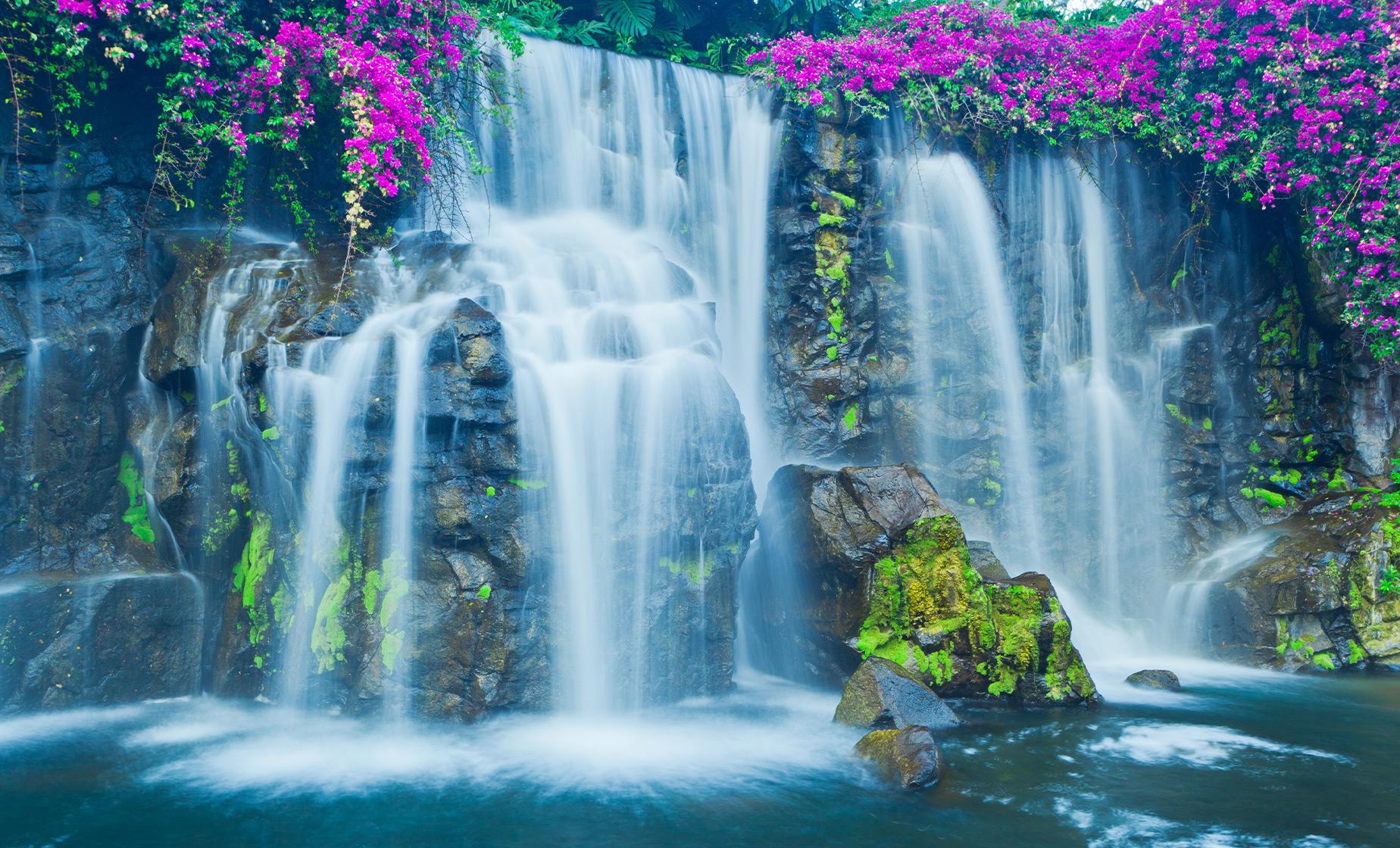 Waterfall and Rainforest Hike Tour in Lahaina (Hana)