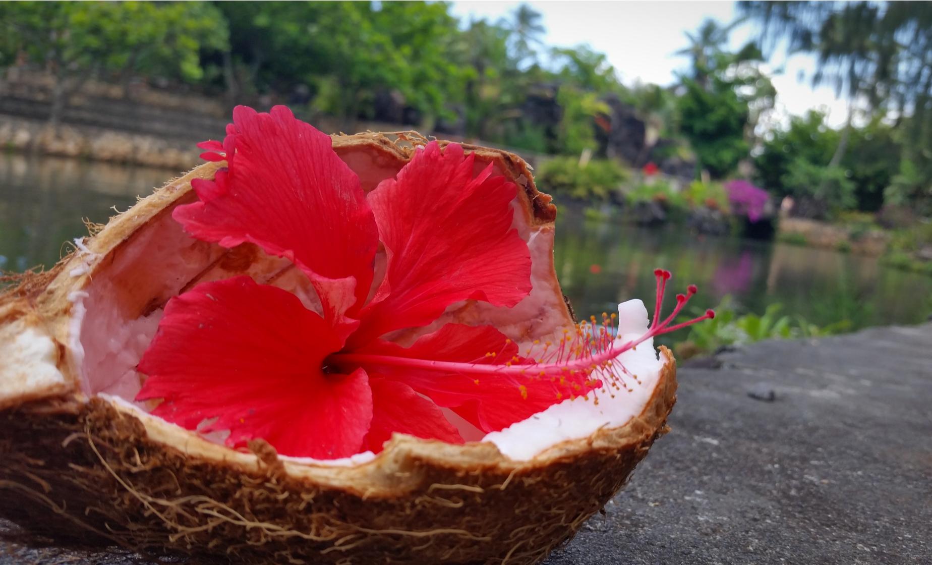 Polynesian Cultural Center Luau - Island Buffet Package