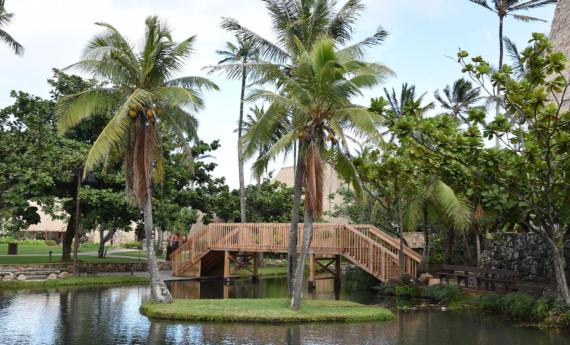 Oahu Polynesian Cultural Center and North Shore Tour (Waimea Bay, Banzai Pipeline, Sunset Beach)