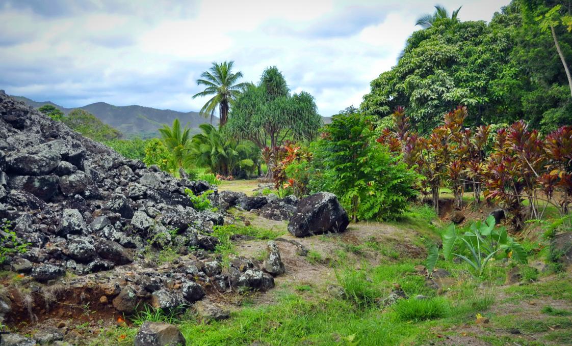 A Cultural Exploration Of Oahu By Jeep