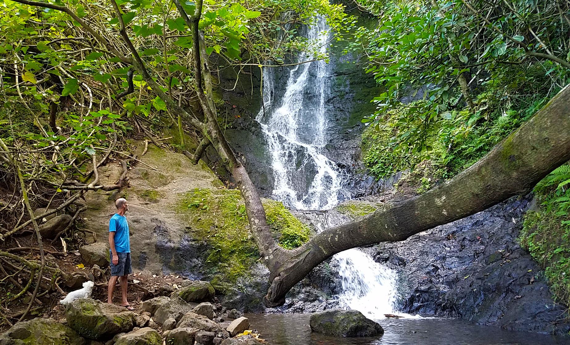 Bike, Hike, Sail and Snorkel Adventure Tour in Oahu (Koolau Mountains, Kewalo Basin)