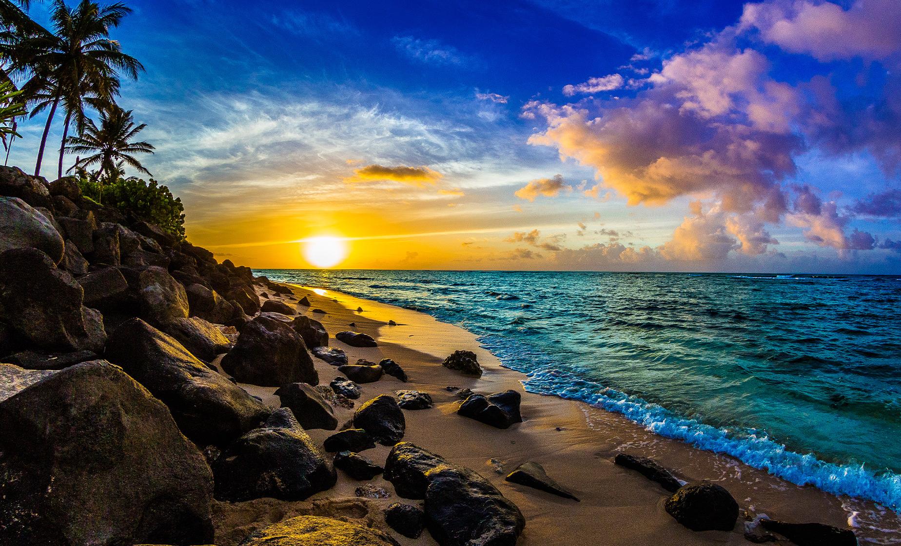 island tour in oahu