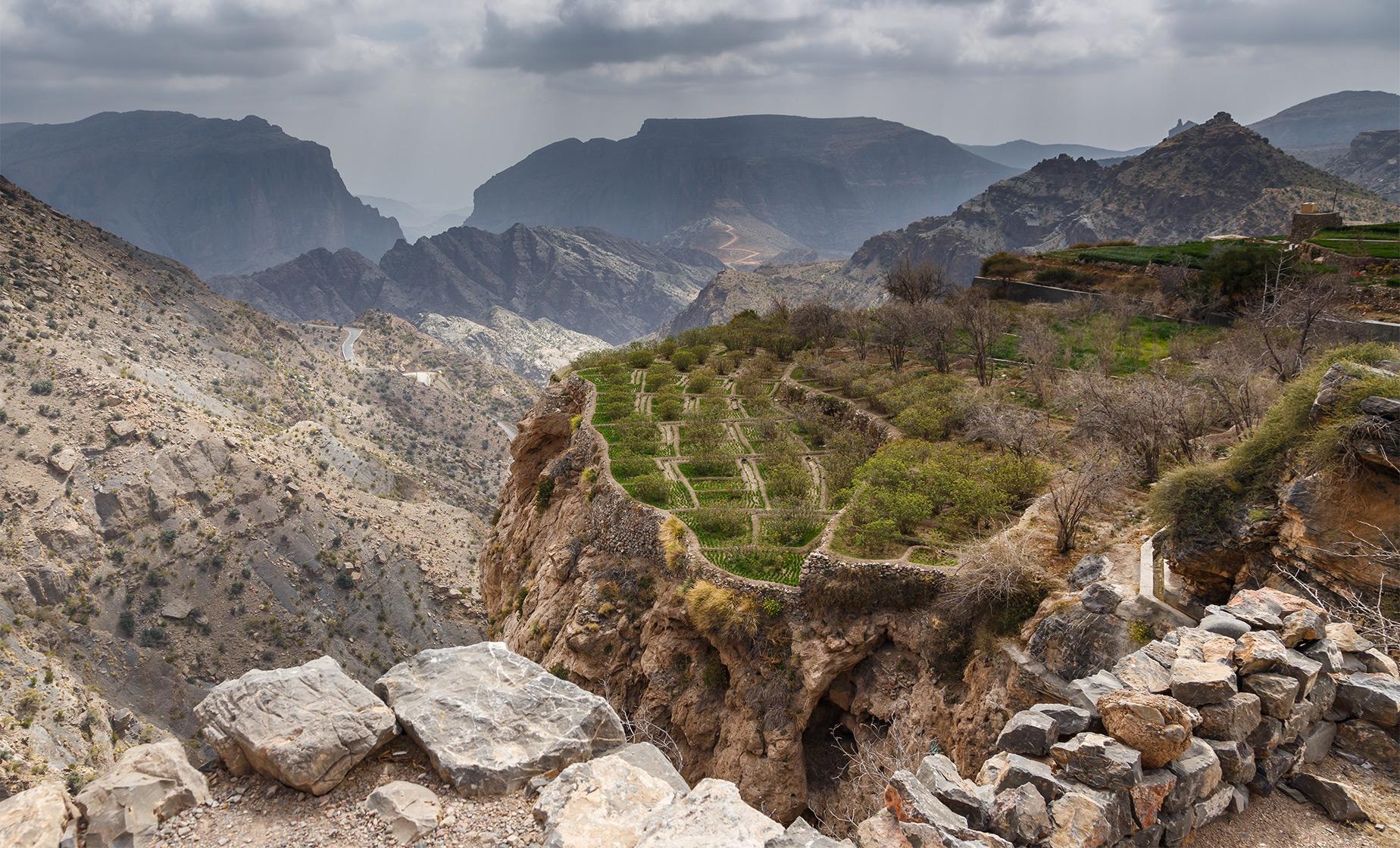 Private Jebel Akhdar Tour