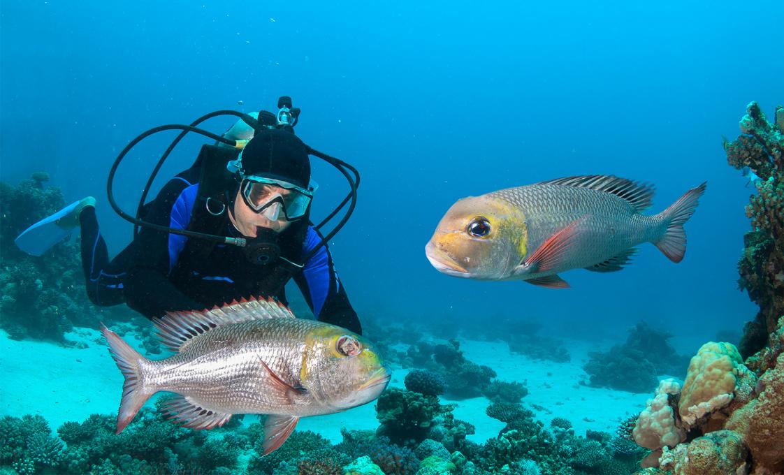 Two Tank Dive For Certified Divers