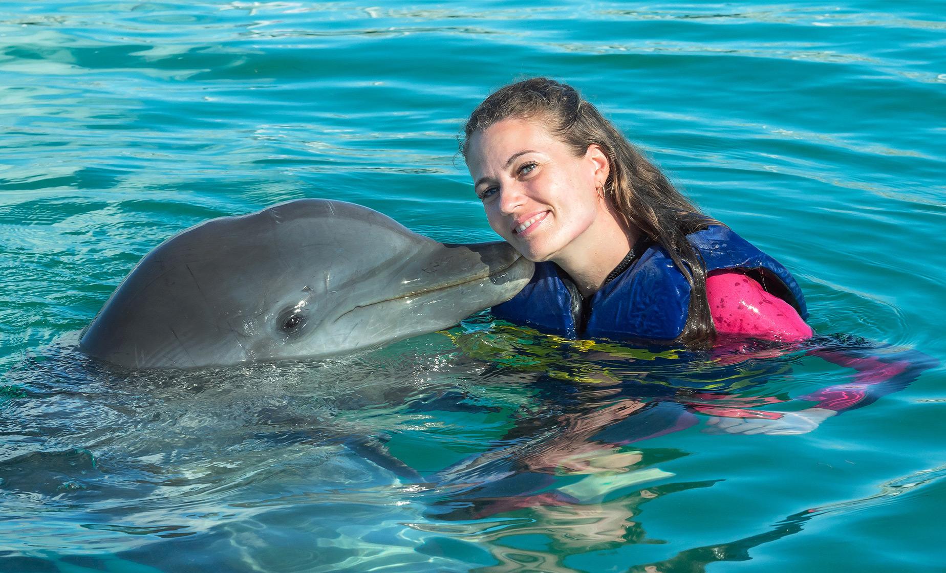 Dolphin Swim and Ride