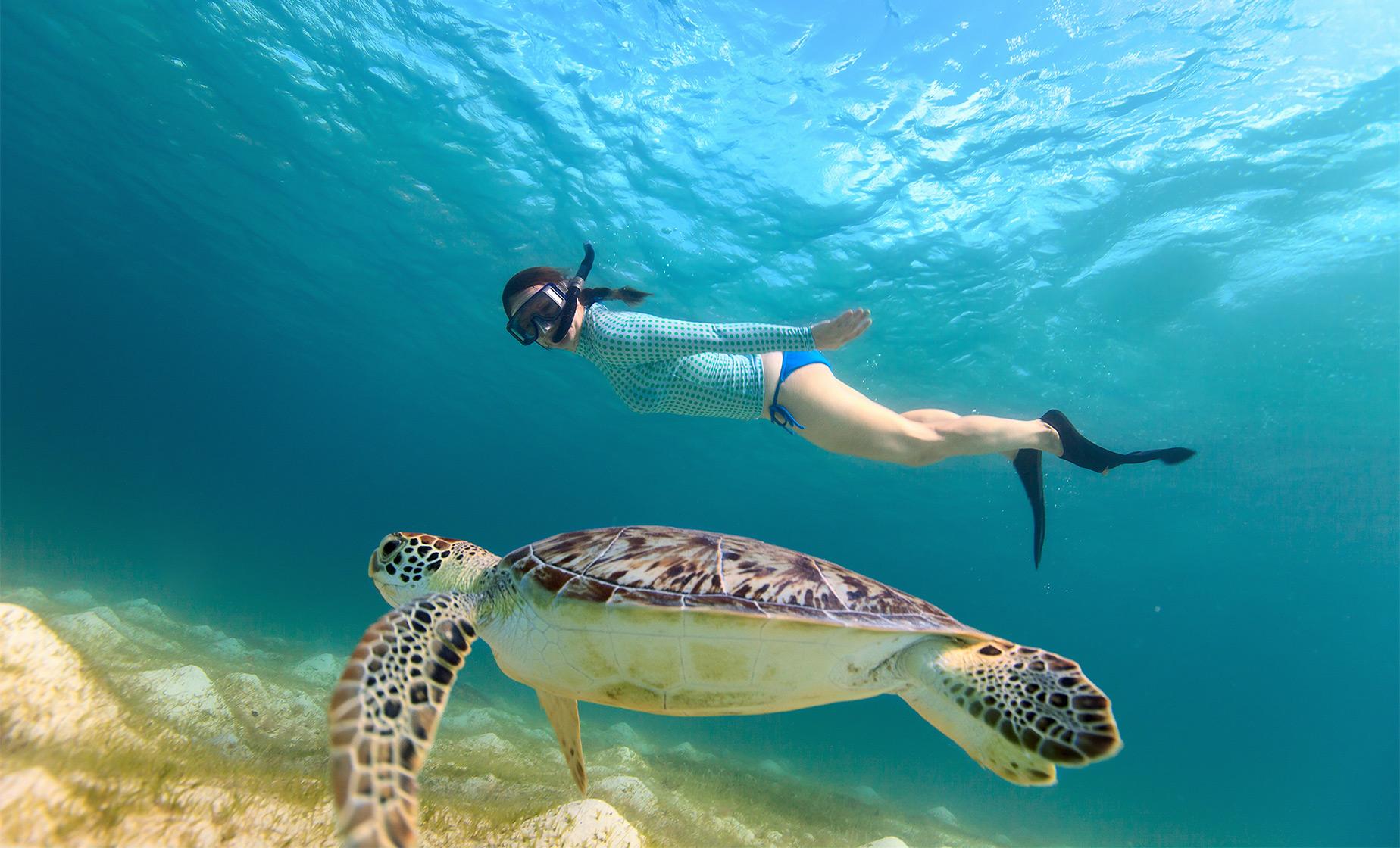 snorkel tour