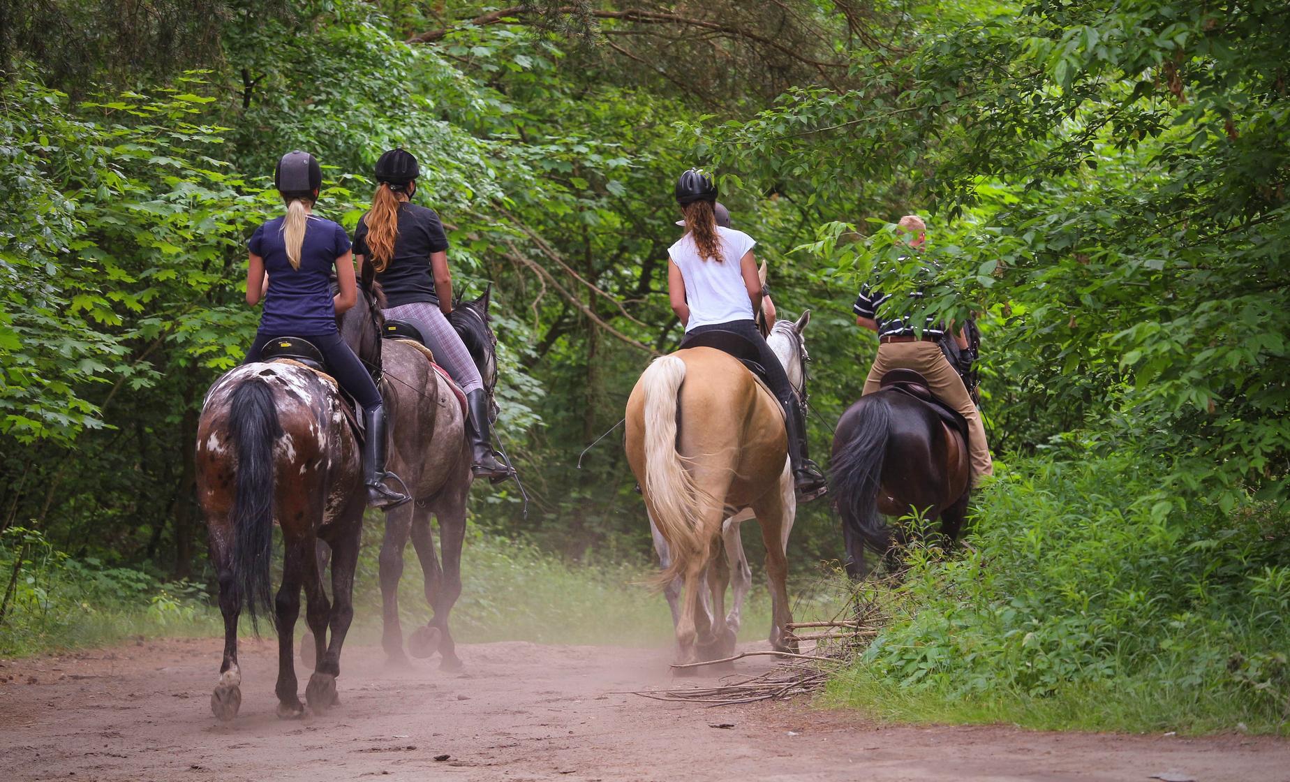 Horseback, River Swim and Tequila Tasting