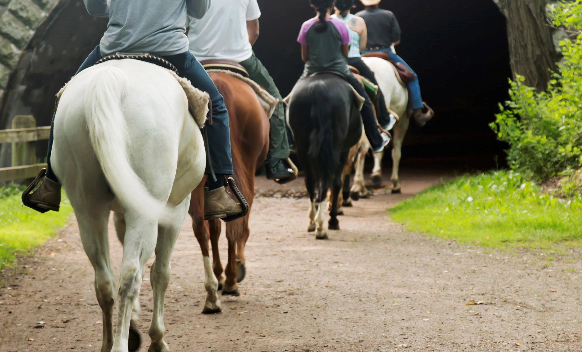 Horseback Riding Tour in Punta Arenas (Strait of Magellan, Tierra del Fuego)