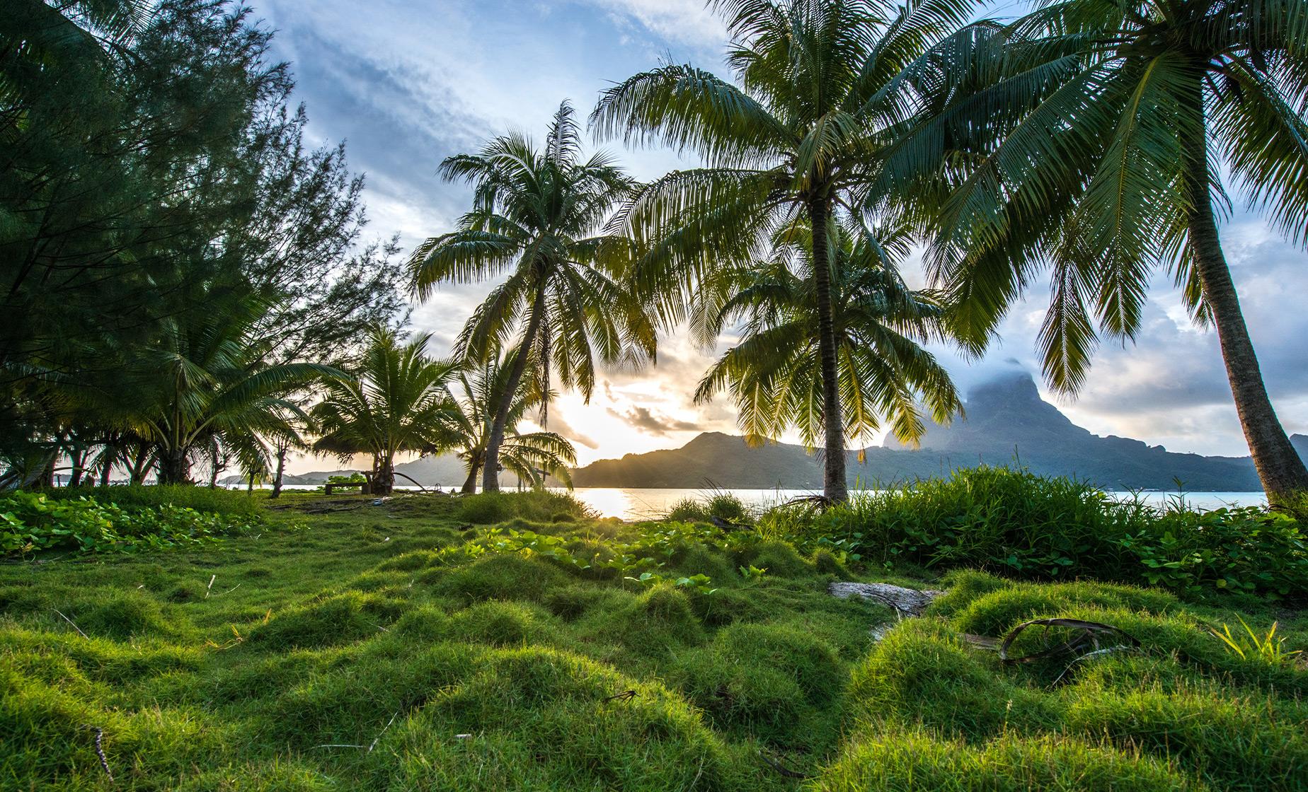 Bora Bora 4WD Trek