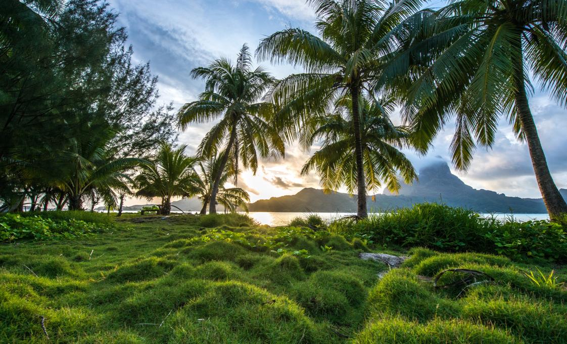 Bora Bora 4Wd Trek