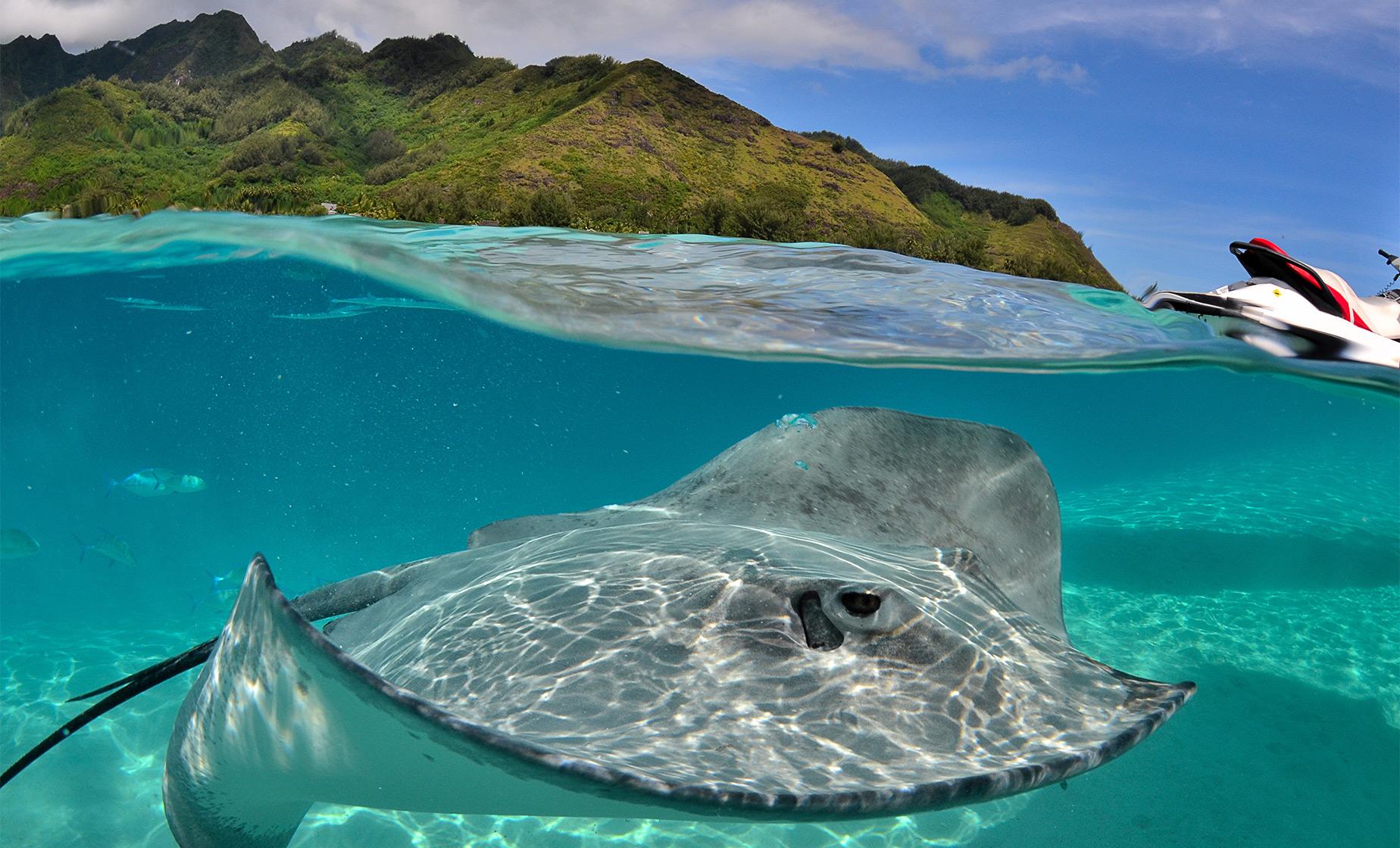 Moorea Jet Ski Adventure