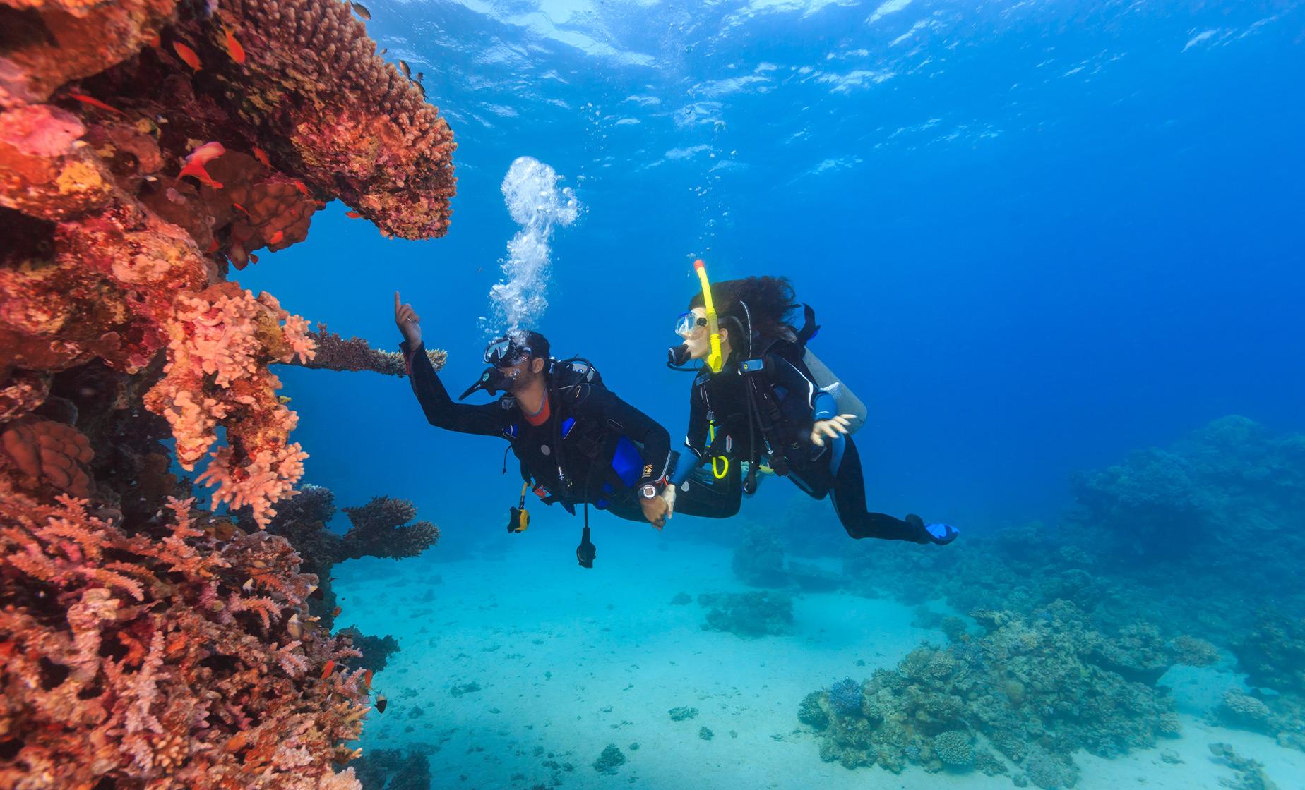 tahiti_scuba_dive_tours.jpg