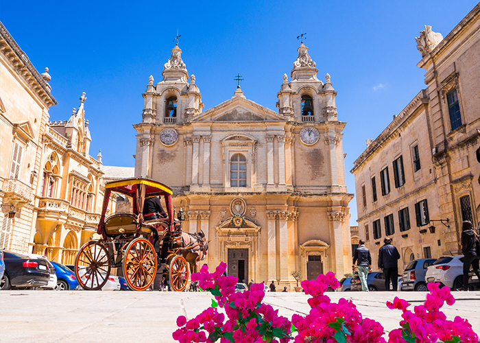 Malta tours to tropical island.