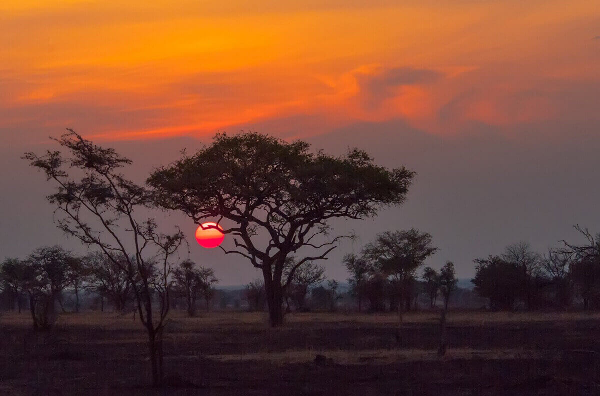 Sunset at Serengeti National Park in Tanzania.